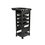 DS BD 6 Tier Hair Salon Trolley Spa Beauty Parlor Hairdressing Tool Rolling