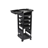 DS BD 6 Tier Hair Salon Trolley Spa Beauty Parlor Hairdressing Tool Rolling