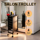 DS BD 6 Tier Hair Salon Trolley Spa Beauty Parlor Hairdressing Tool Rolling Pull