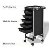 DS BD 6 Tier Hair Salon Trolley Spa Beauty Parlor Hairdressing Tool Rolling Pull