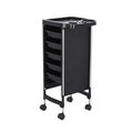 DS BD 6 Tier Hair Salon Trolley Spa Beauty Parlor Hairdressing Tool Rolling Pull