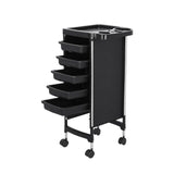 DS BD 6 Tier Hair Salon Trolley Spa Beauty Parlor Hairdressing Tool Rolling Pull