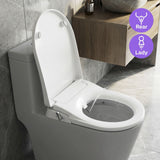 DS BD Non Electric Bidet Toilet Seat WaterMark Certified D Shape Dual Nozzle