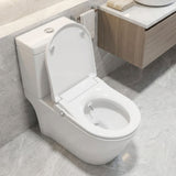 DS BD Non Electric Bidet Toilet Seat WaterMark Certified D Shape Dual Nozzle