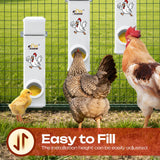 DS BD Chicken Bird Feeder Water Dispenser Automatic Waterer Poultry Food Drinker