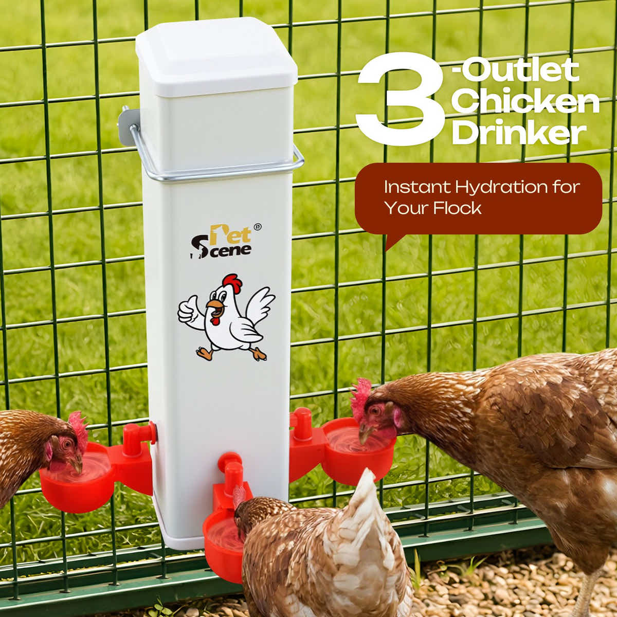 DS BD Chicken Bird Feeder Water Dispenser Automatic Waterer Poultry Food Drinker