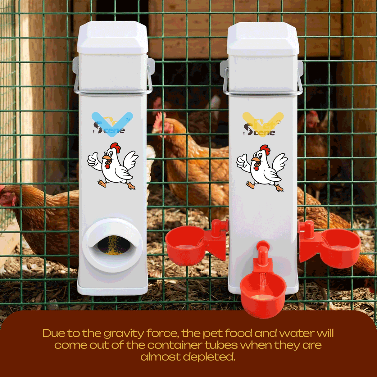 DS BD Chicken Bird Feeder Water Dispenser Automatic Waterer Poultry Food Drinker