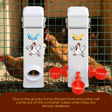 DS BD Chicken Bird Feeder Water Dispenser Automatic Waterer Poultry Food Drinker