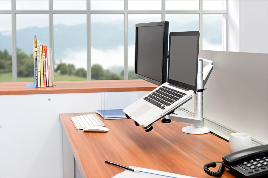 DS BS 2-in-1 Adjustable Dual Arm Desk Mounts Stand Holder Monitor and Laptop