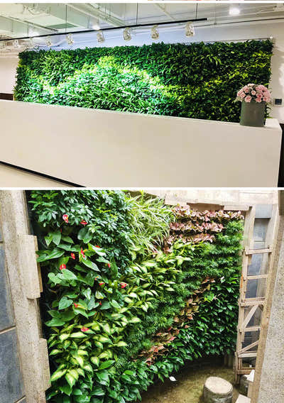 DS BS 10 Pack Vertical Planter Wall Hanging Flower Pots with Steel Rack