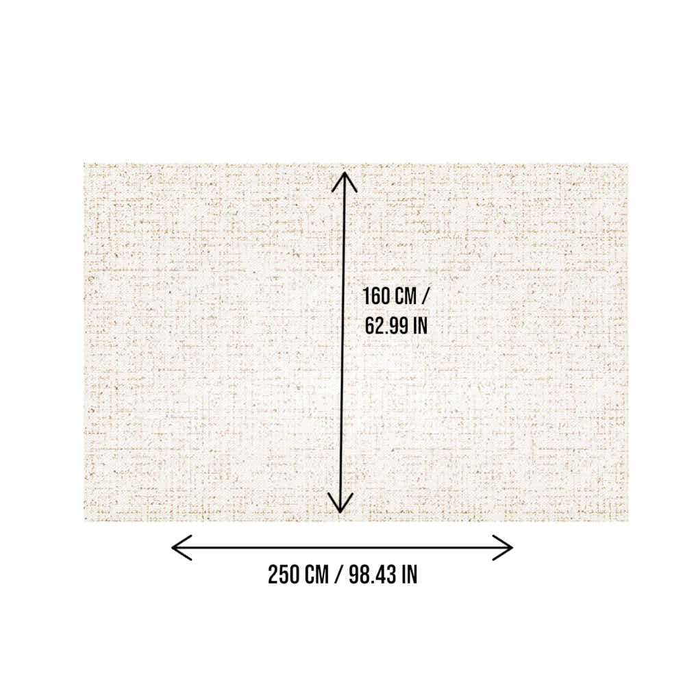DS BS Area Rug 160x250cm Modern Minimalist Living Room Carpet - Soft Sand Beige