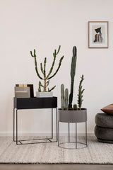 DS BS Indoor Metal Tall Rectangle Tray Plant Pot Stand-Black