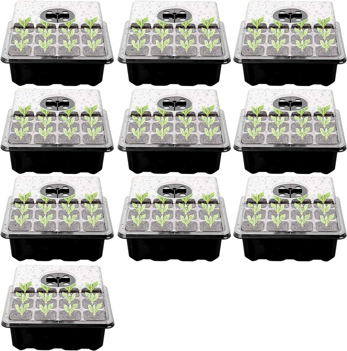 DS BS 10 Packs 12 Cells Seed Starter Tray Seed Starter Kit