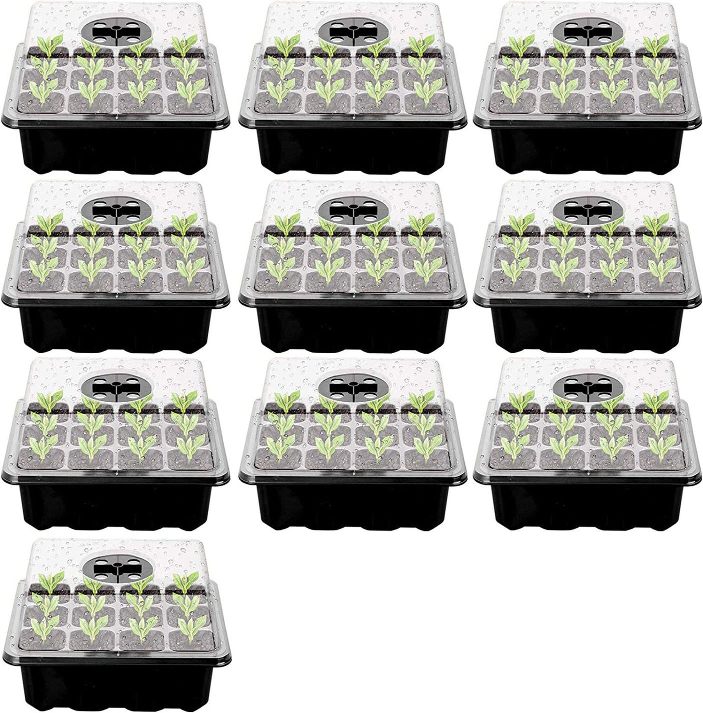DS BS 10 Packs 12 Cells Seed Starter Tray Seed Starter Kit