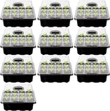 DS BS 10 Packs 12 Cells Seed Starter Tray Seed Starter Kit