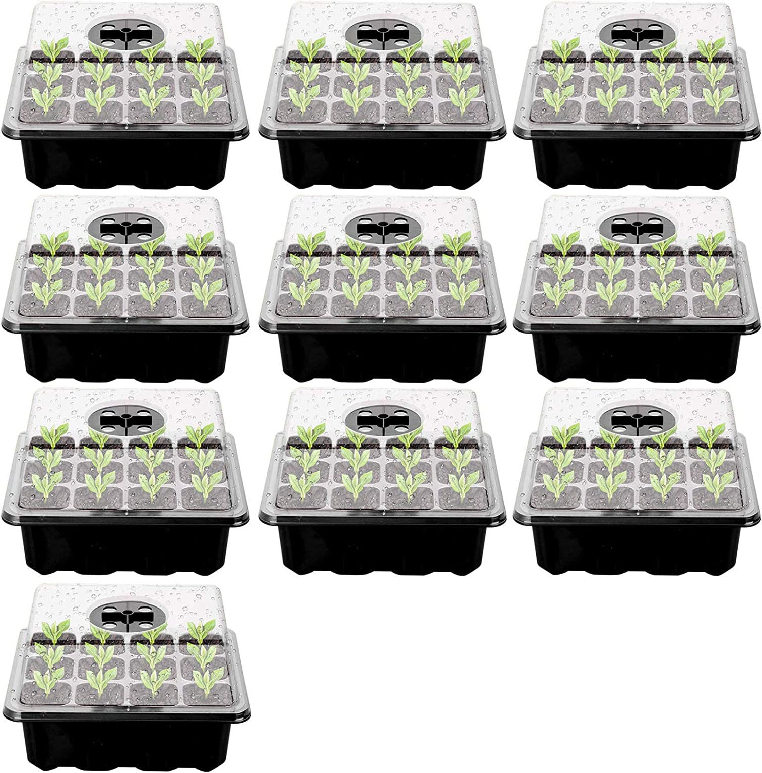 DS BS 10 Packs 12 Cells Seed Starter Tray Seed Starter Kit