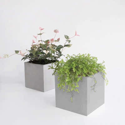 DS BS Modern Cement Gray Planter Box Cube-28CM