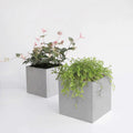 DS BS Modern Cement Gray Planter Box Cube-28CM
