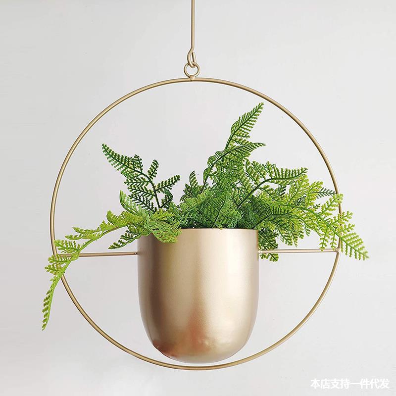 DS BS Minimalist Metal Plant Hanger Round Shape-Gold