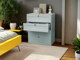 Lonna Steel 4-Drawer Tallboy - Mint
