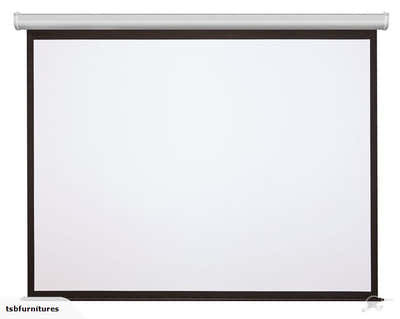 Projector Screen 120''