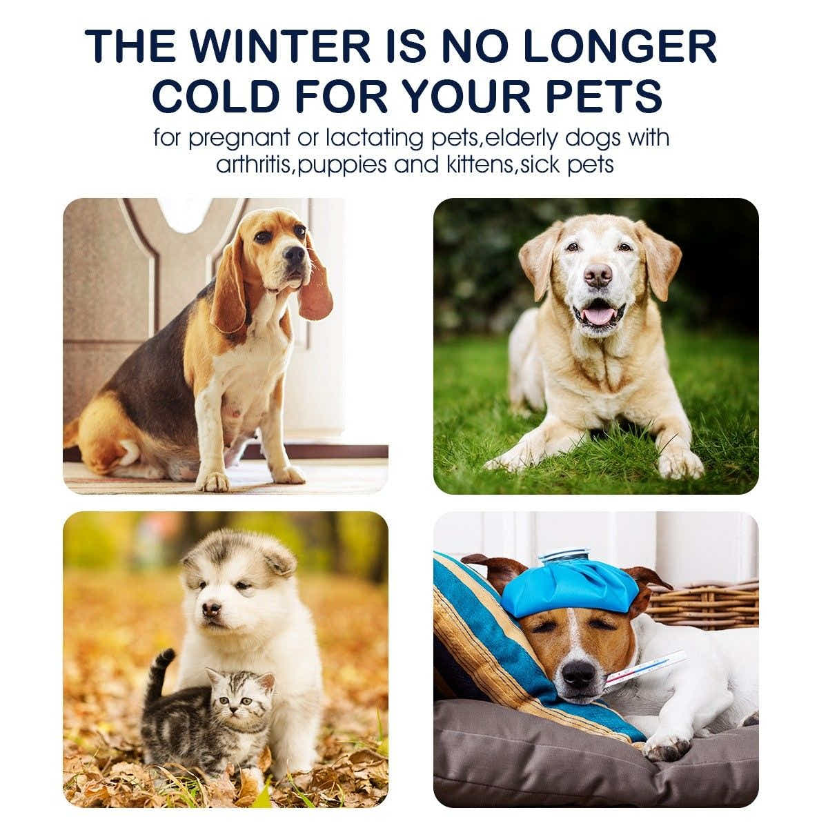 DS BD Heated Dog Cat Pad Puppy Electric Heater Blanket Pet Protection 60x45cm L