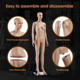 DS BD Female Mannequin Full Body Torso Dress Form 175CM Adjustable Detachable