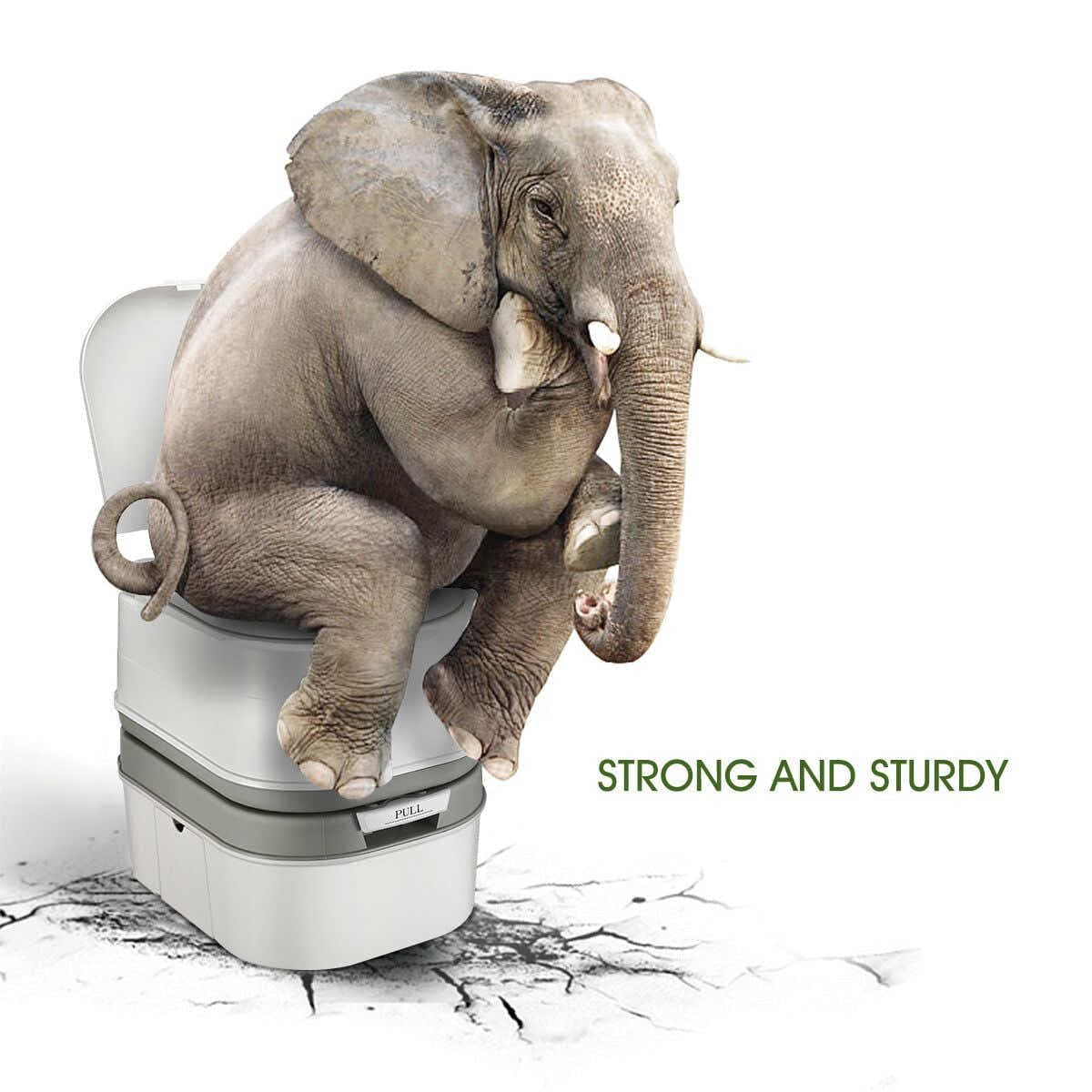DS BD 24L Portable Toilet Camping Travel Mobile Potty White Grey 44.5x35x44cm