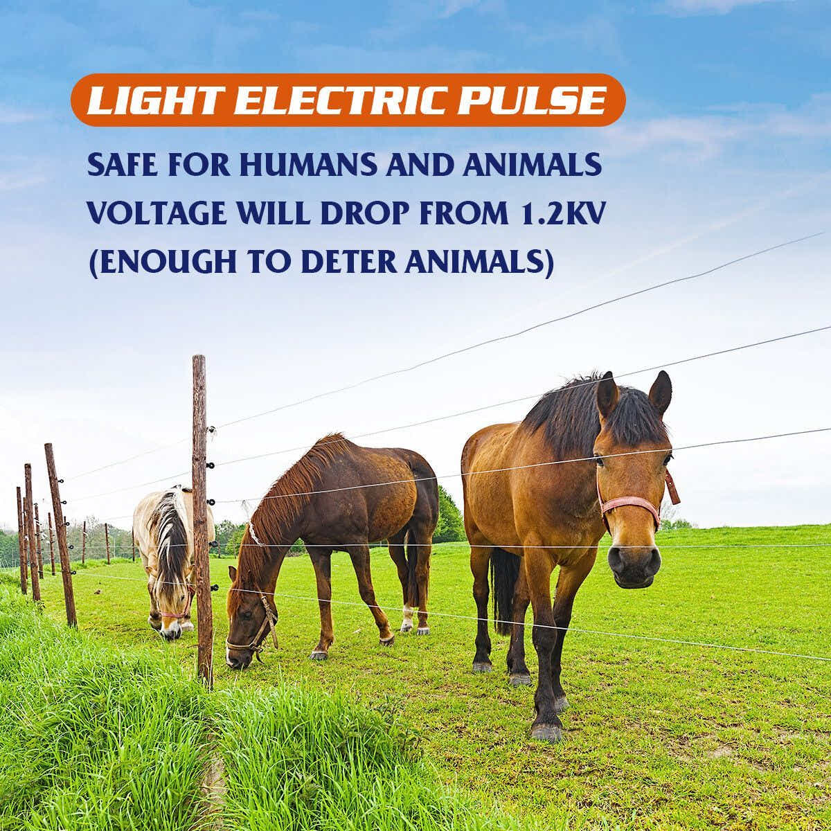 DS BD Petscene 30KM Electric Fence Energiser Charger Mains Energizer IPX6 3.5J