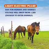 DS BD Petscene 30KM Electric Fence Energiser Charger Mains Energizer IPX6 3.5J