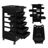 DS BD Hairdressing Storage Rolling Tool Cart Salon on Wheels 6 Tiers 5 Tray