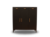 Lonna Steel Shoe Cabinet 3-Door With Drawers Black