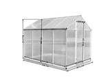 DS Polycarbonate Greenhouse 6ft x 8ft