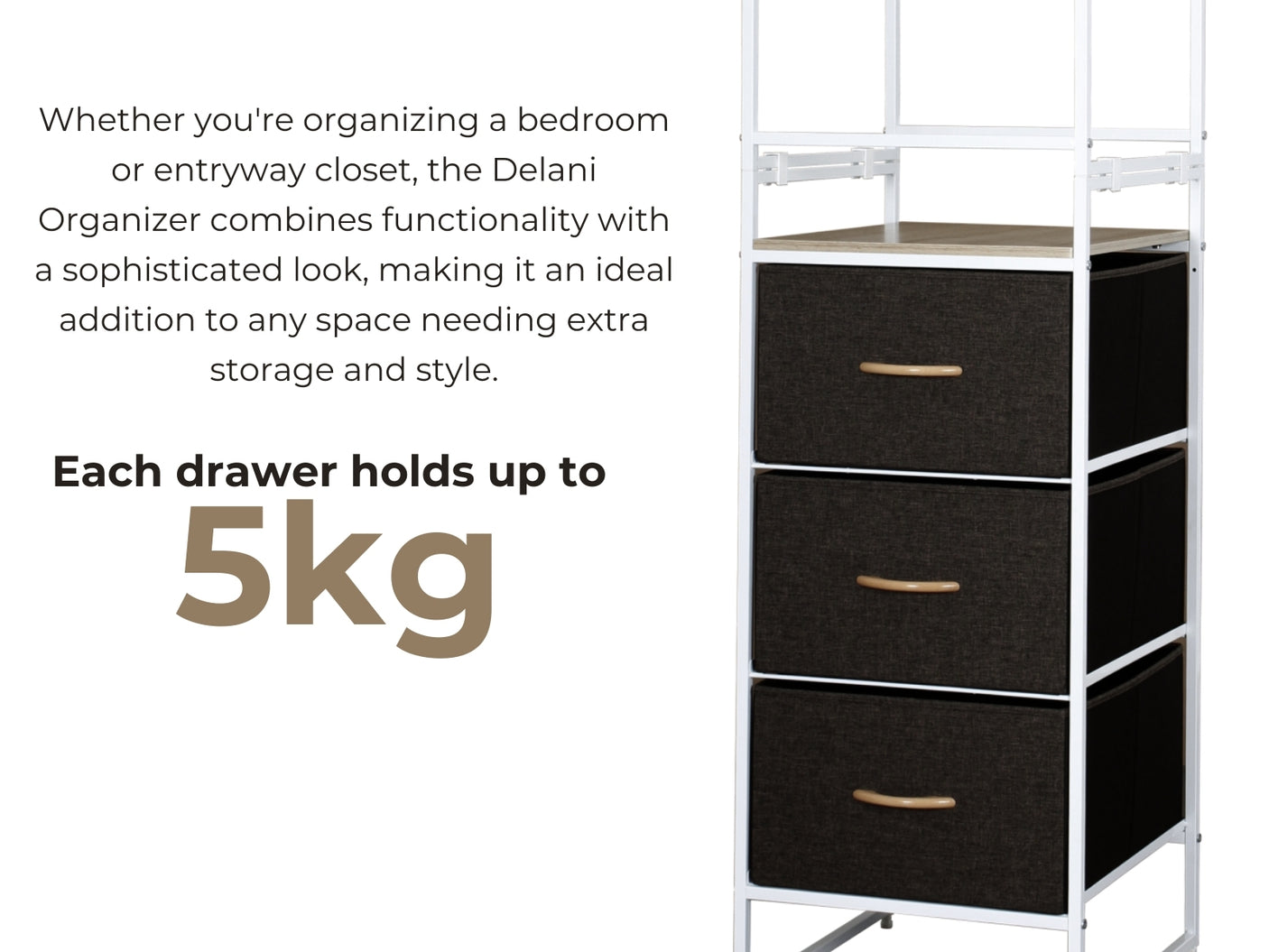 Delani Closet Organizer With 3 Drawer