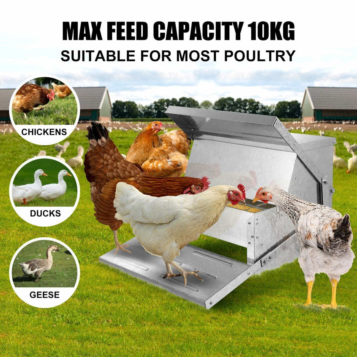 DS BD 10L Auto Chicken Feeder Automatic Poultry Food Feeding Treadle Spillproof