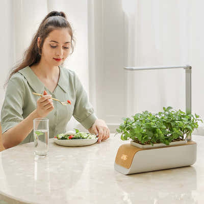 DS BS Indoor Hydroponic Planter Kit Smart with Grow Light