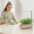 DS BS Indoor Hydroponic Planter Kit Smart with Grow Light