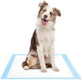 DS BS Dog and Puppy Potty Training Pads 60 x 60cm 40pc