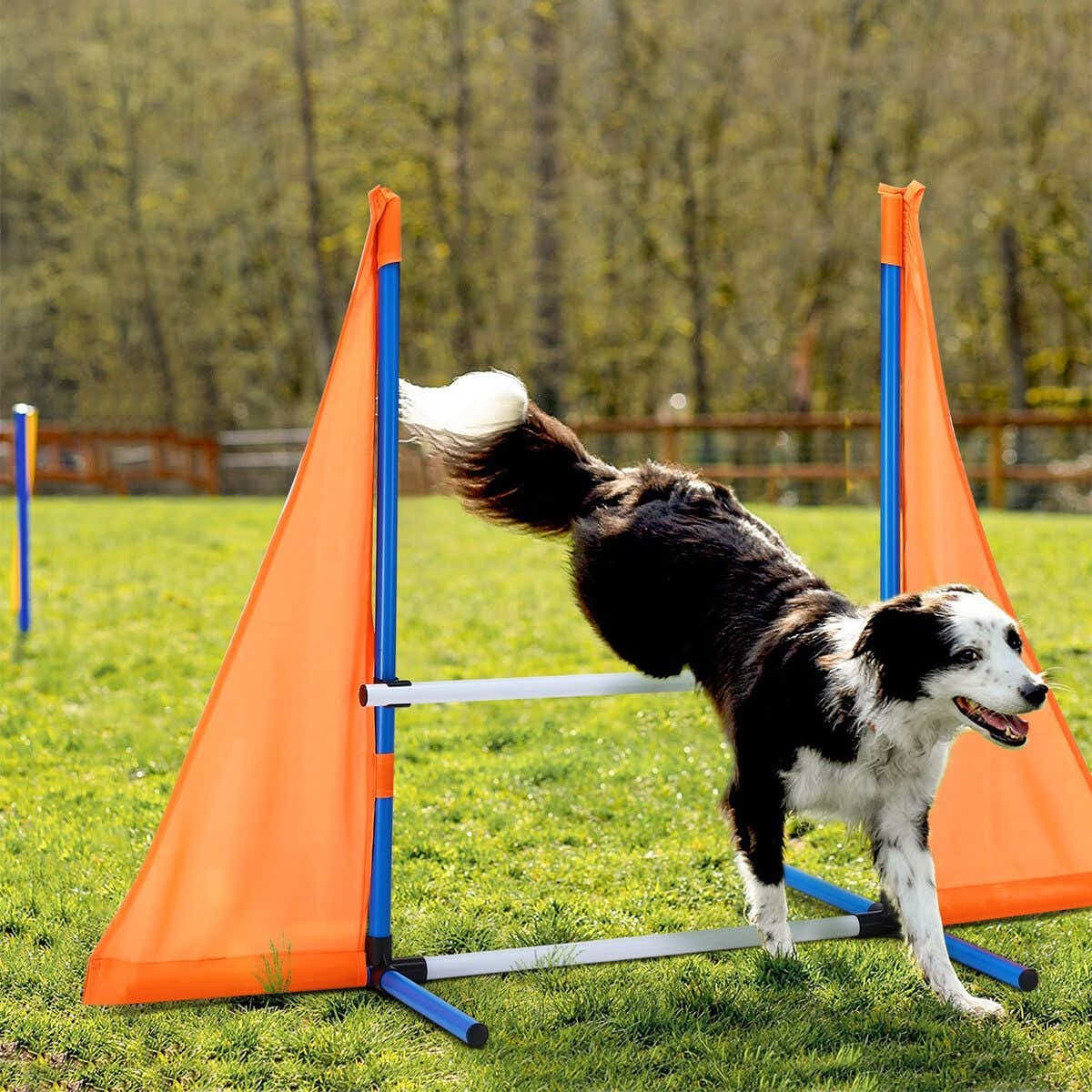 DS BD Dog Agility Equipment Obstacle Training Course 7 Set Toys Supplies Hurdle