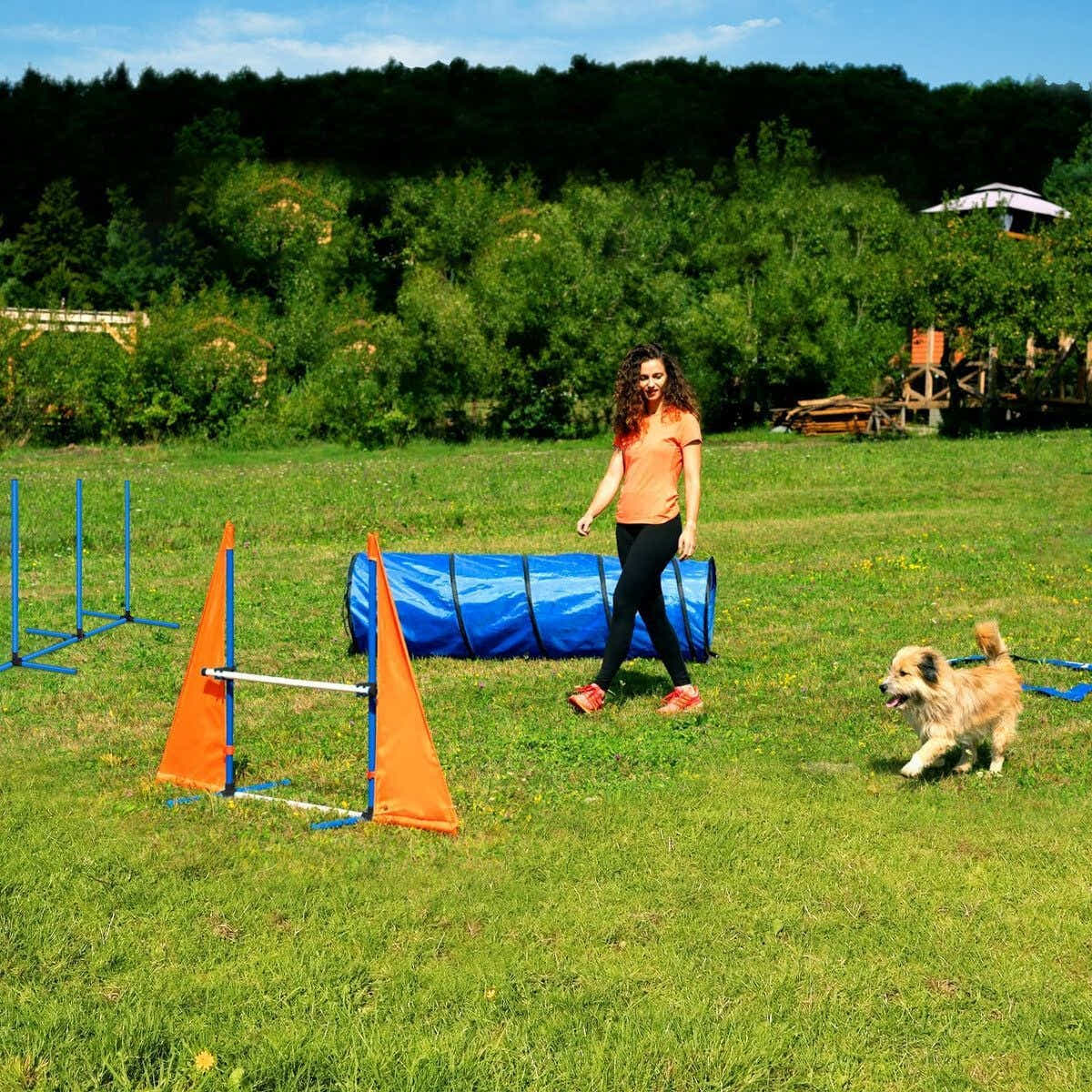 DS BD Dog Agility Equipment Obstacle Training Course 7 Set Toys Supplies Hurdle