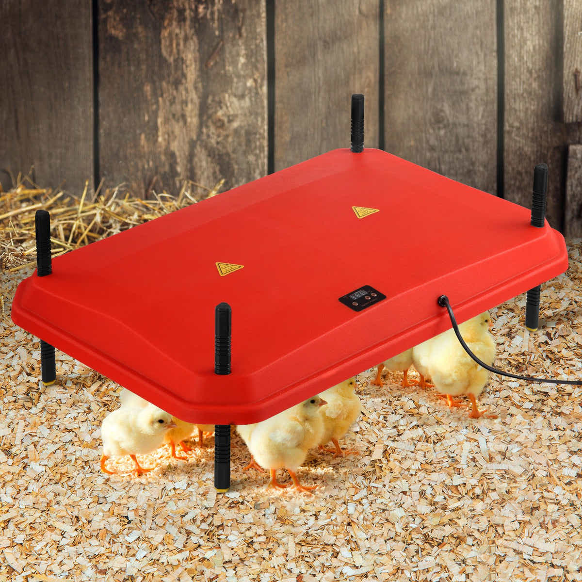 DS BD Chick Brooder Heating Plate Warmer 45x60cm 40-50 Chicks Adjustable Height