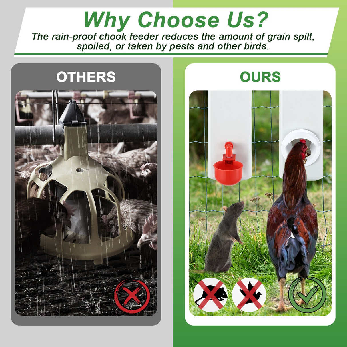 DS BD Chicken Feeder Water Dispenser Automatic Waterer Poultry Cup 4L Plastic