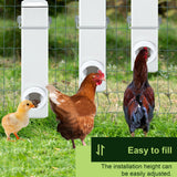 DS BD Chicken Feeder Water Dispenser Automatic Waterer Poultry Cup 4L Plastic
