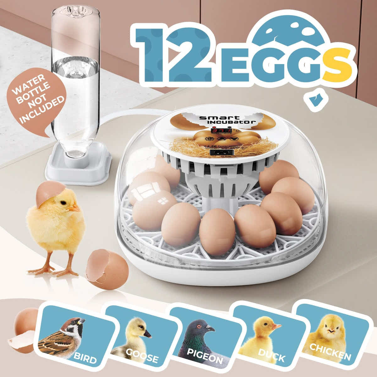 DS BD 12 Eggs Incubator Automatic Hatching Chicken Quail Duck Hatcher Turner