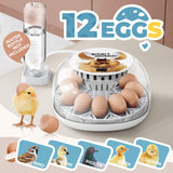 DS BD 12 Eggs Incubator Automatic Hatching Chicken Quail Duck Hatcher Turner