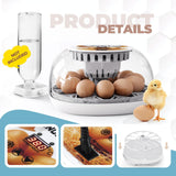 DS BD 12 Eggs Incubator Automatic Hatching Chicken Quail Duck Hatcher Turner
