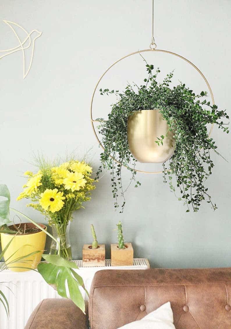 DS BS Minimalist Metal Plant Hanger Round Shape-Gold