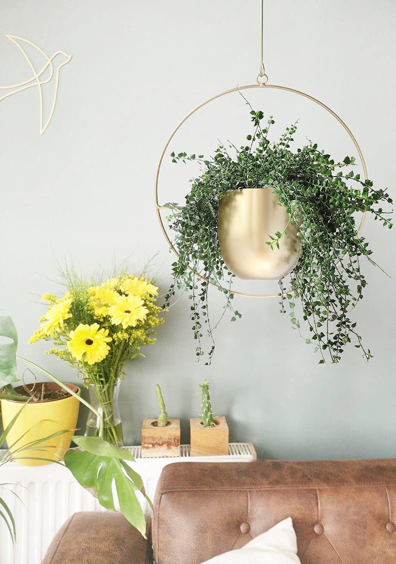 DS BS Minimalist Metal Plant Hanger Round Shape-Gold
