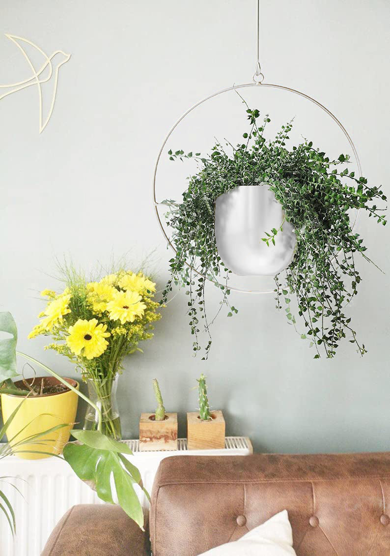 DS BS Minimalist Metal Plant Hanger Round Shape-White
