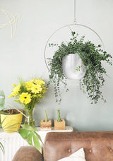 DS BS Minimalist Metal Plant Hanger Round Shape-White